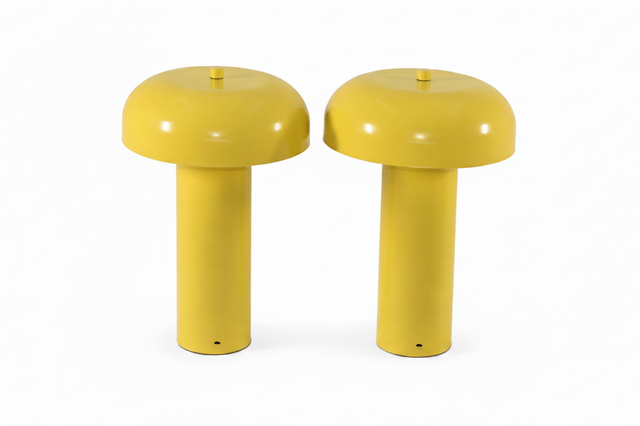 LIG-0237-2